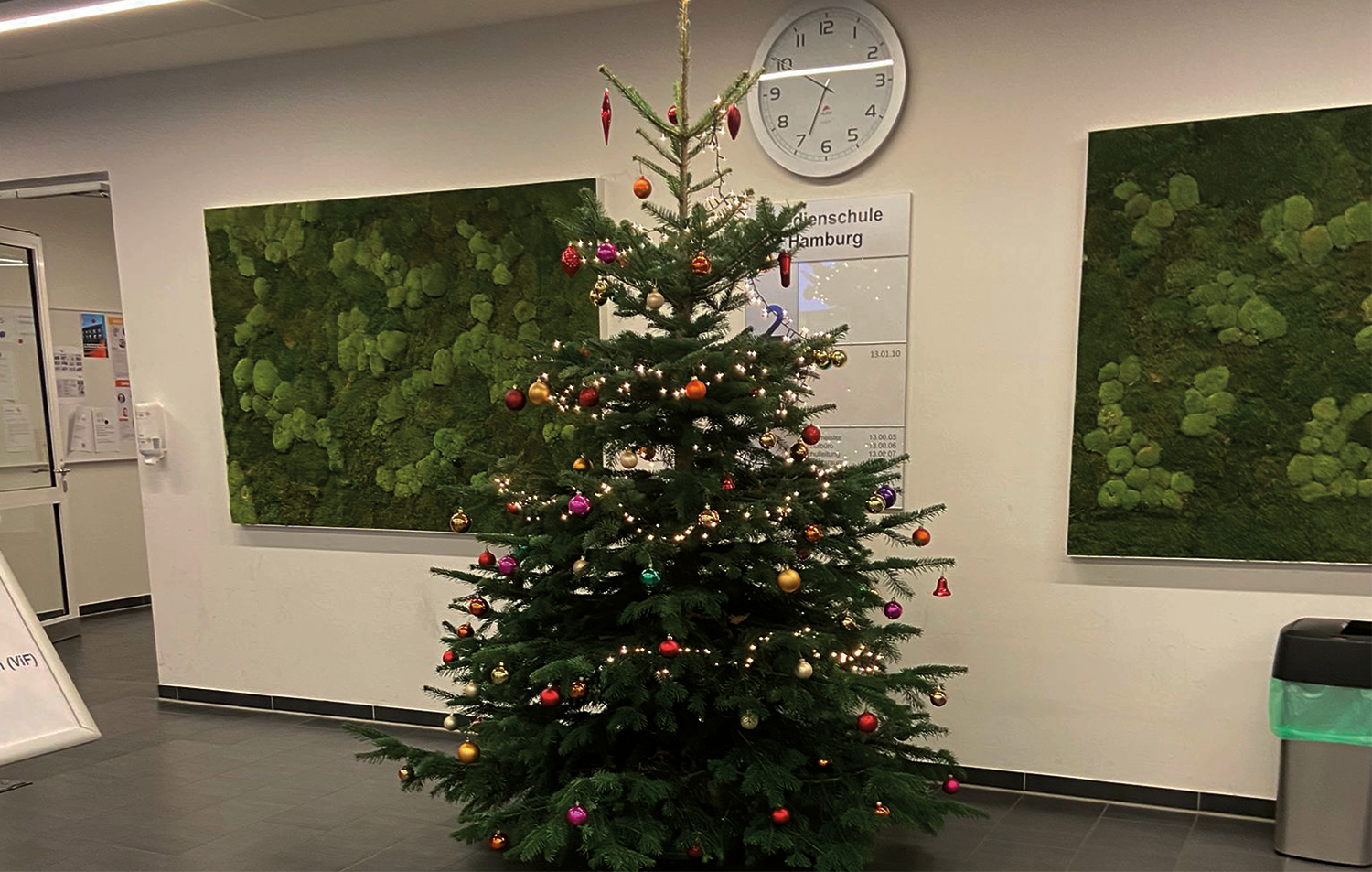 Weihnachtsbaum in einer der durch uns betreuten Schulen