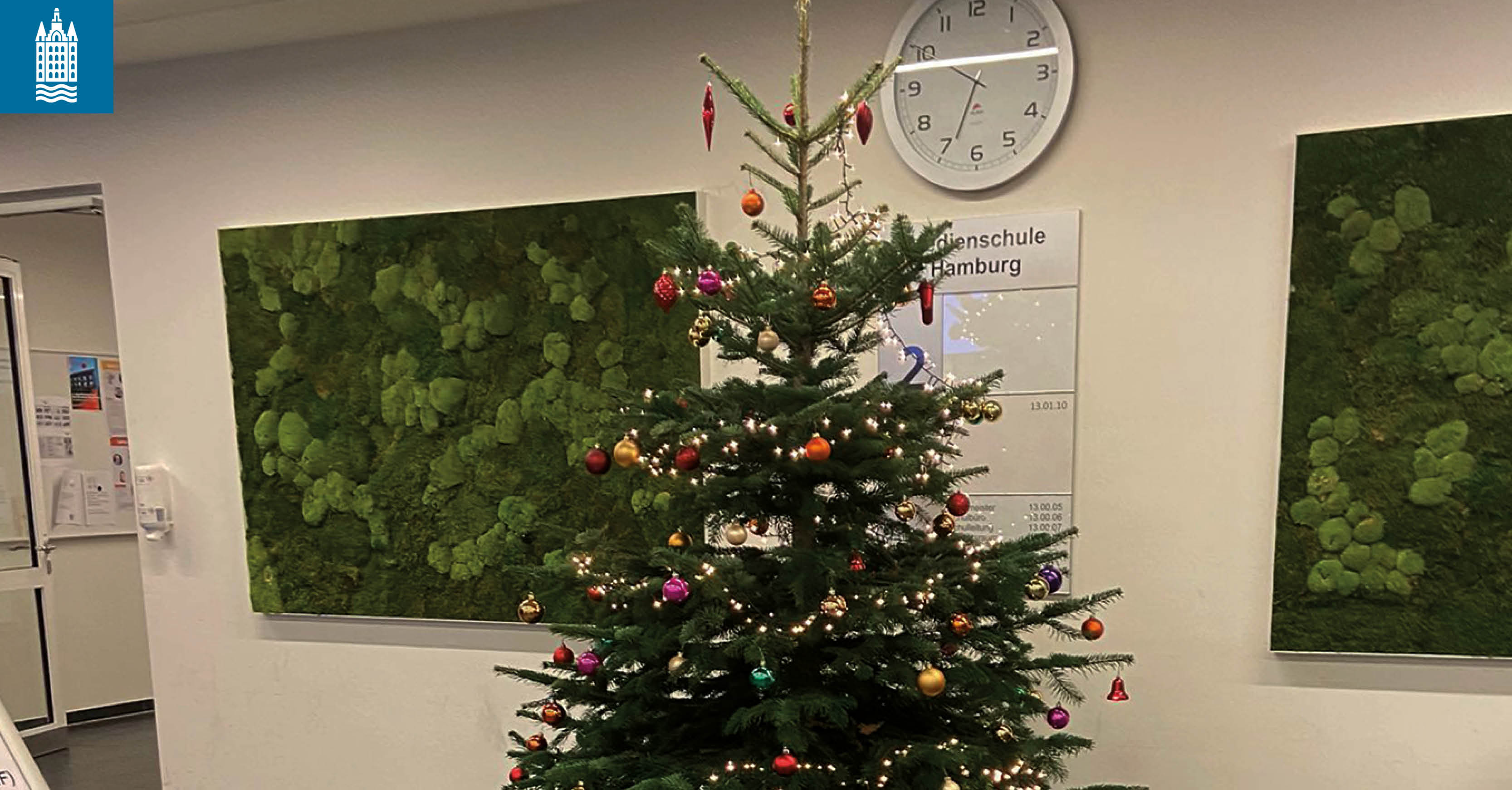 Weihnachtsbäume