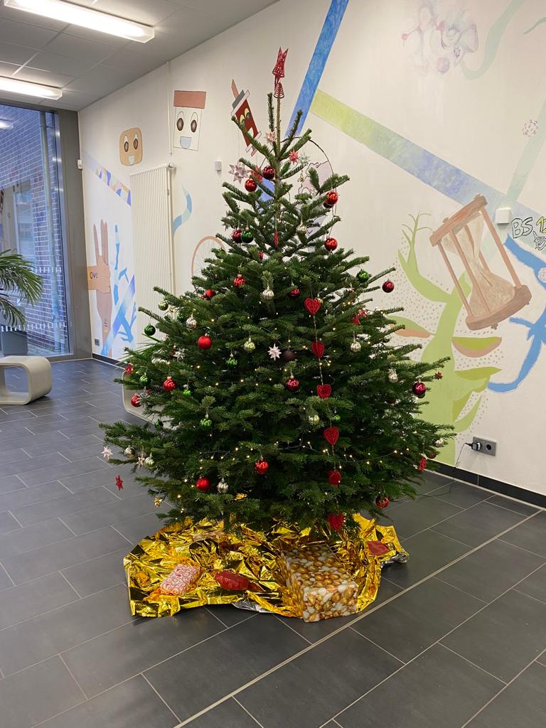 Weihnachtsbaum B10
