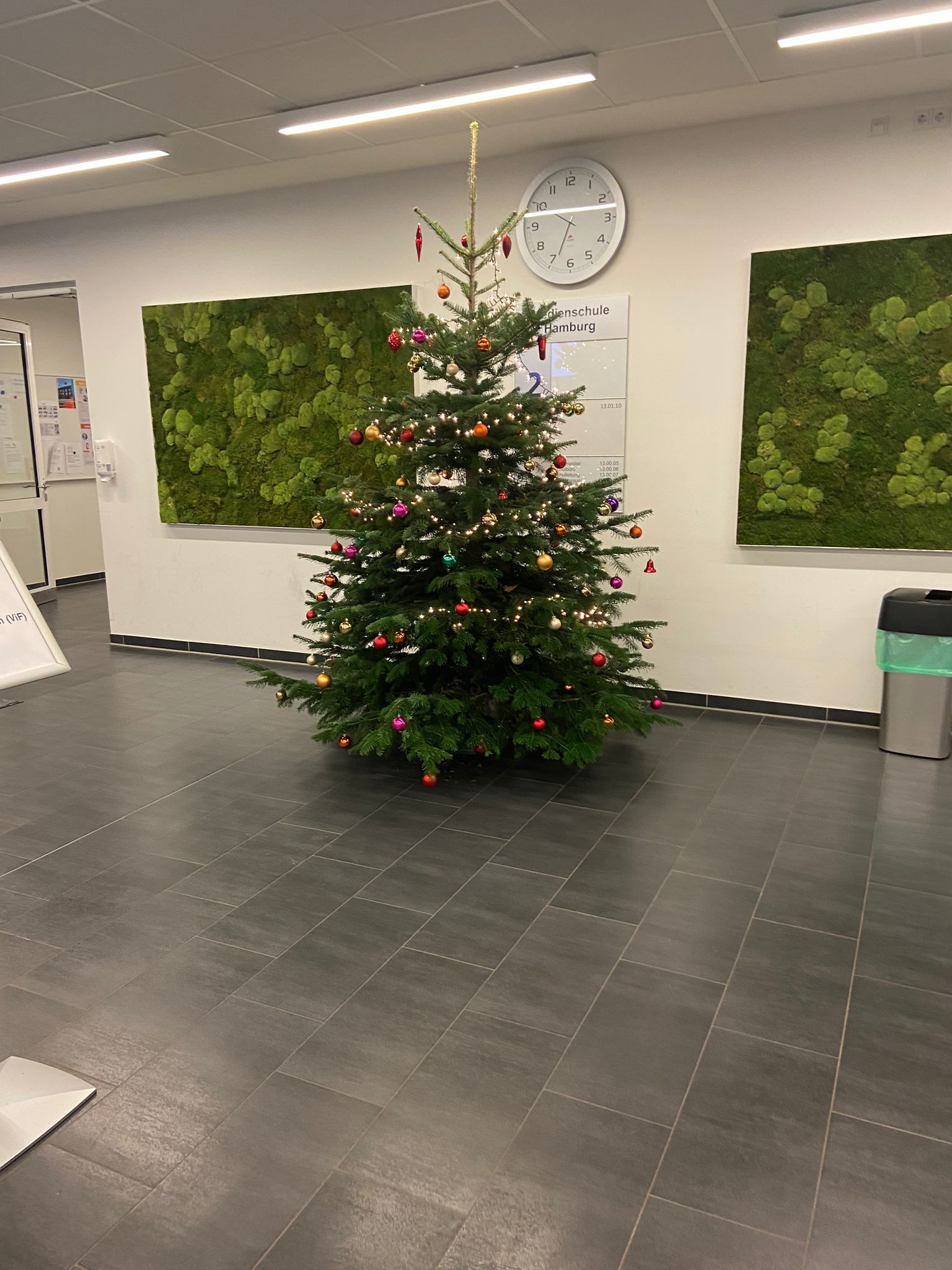 Weihnachtsbaum B4