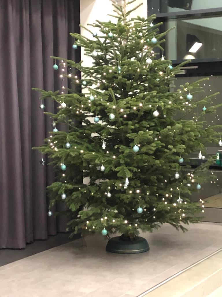 Weihnachtsbaum B5