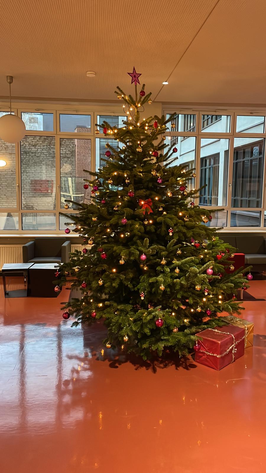 Weihnachtsbaum B8