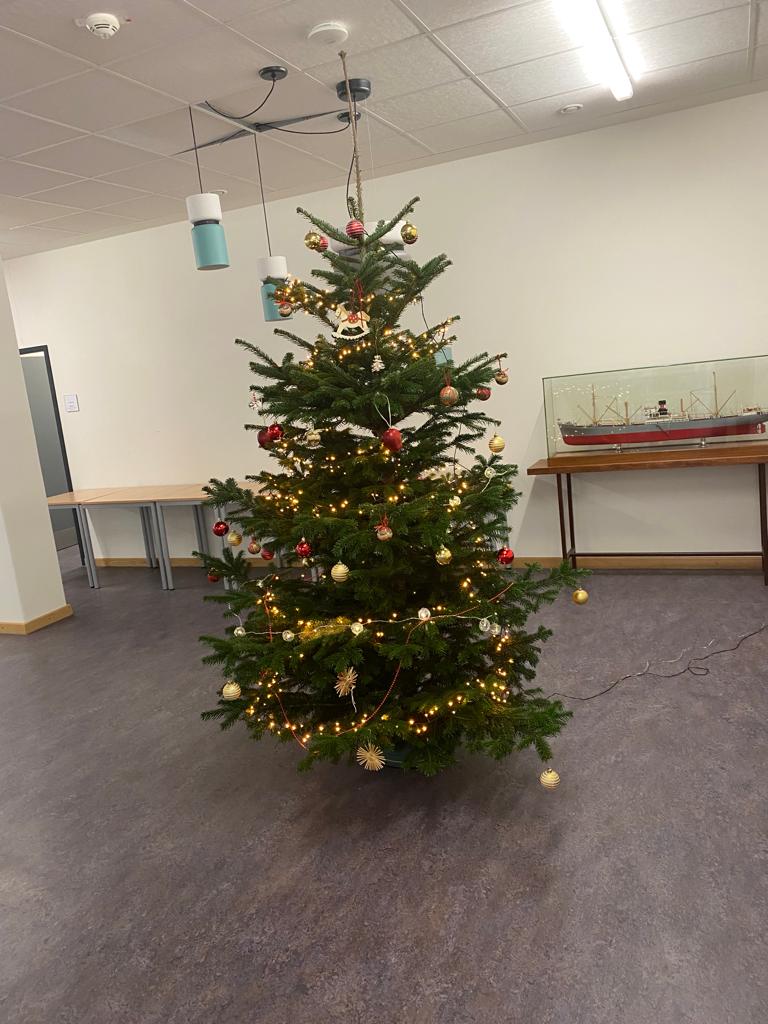 Weihnachtsbaum B9